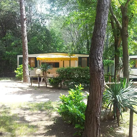 Valdor Camper & Pitch *