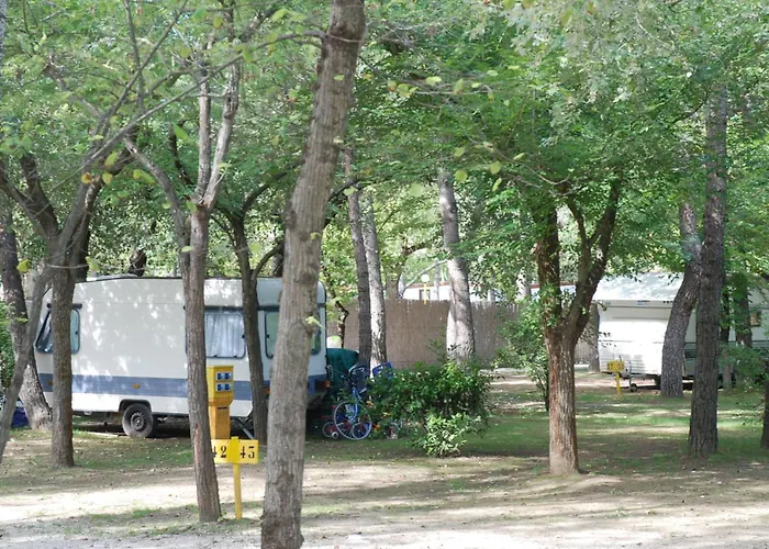 Camping Valdor Camper & Pitch