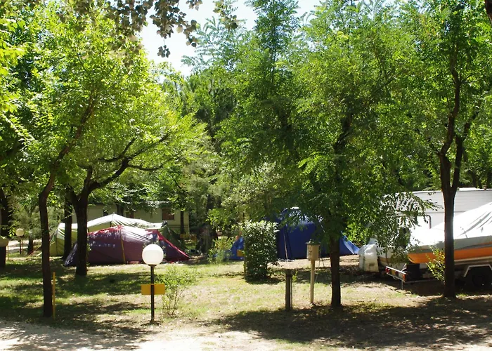 Valdor Camper & Pitch Camping *