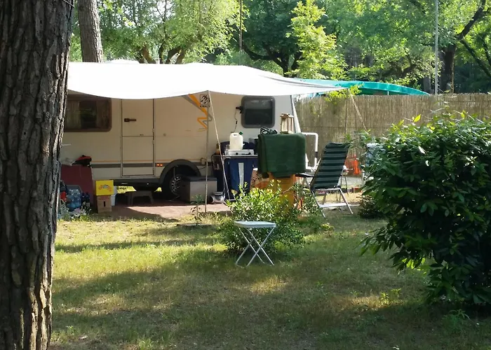 Valdor Camper & Pitch