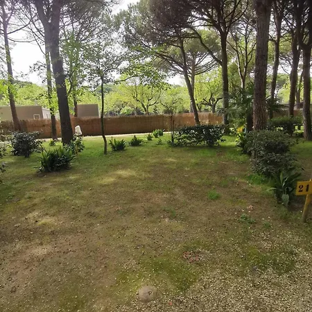Valdor Camper & Pitch Camping *